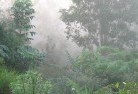 Jagumbalandscaping-irrigation-4.jpg; ?>